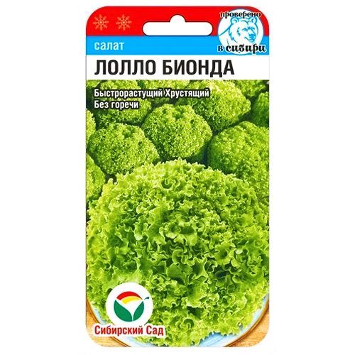 ������ ������ ����� ����� ������ ��������� ���   ����