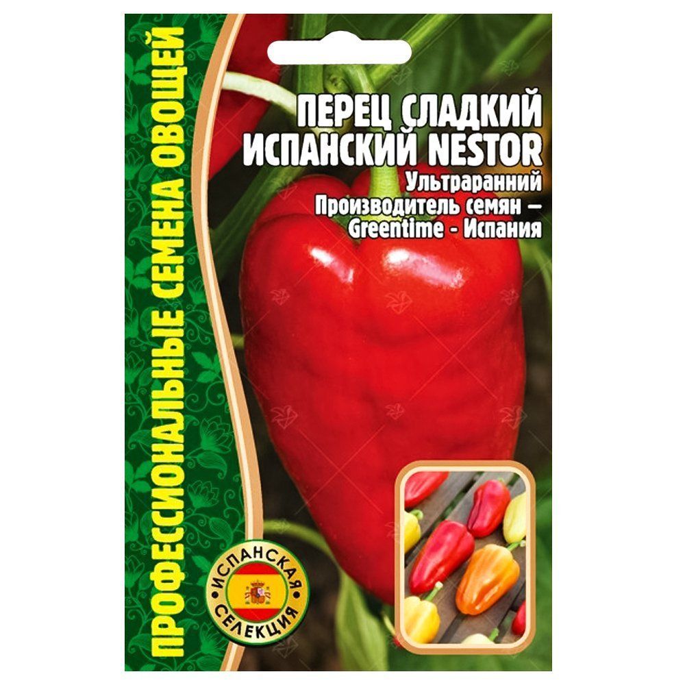 ������ ������ ����� ������� ��������� Nestor ������ ������   ����