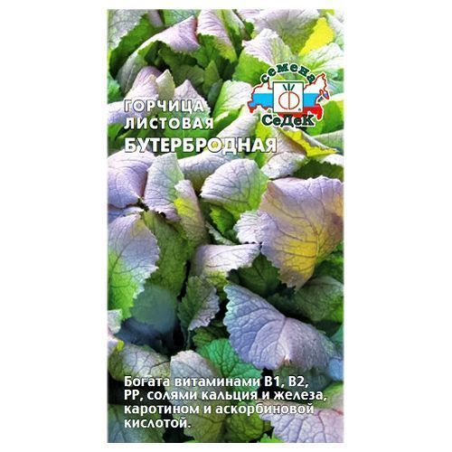 ������ ������ ������� �������� ������������ �����   ����