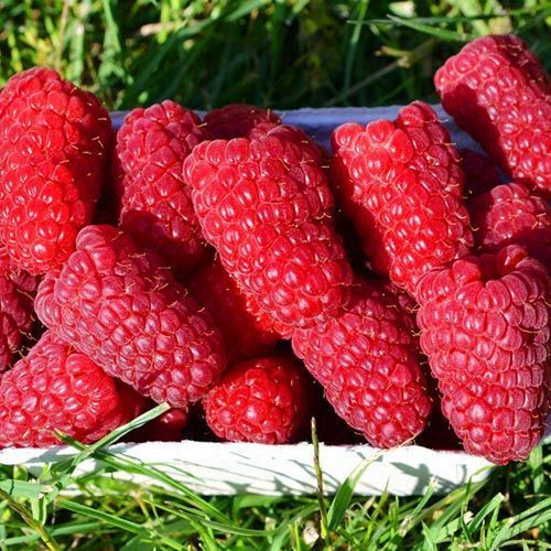 ������ ������ ������ ������������� ������ ����������   ����