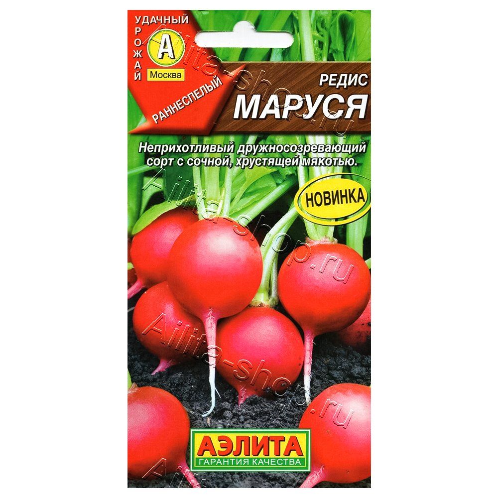 ������ ������ ����� ������ ������   ����