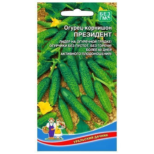 ������ ������ ������ �������� ��������� ��������� ������   ����