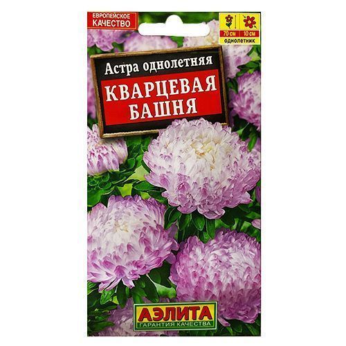 ������ ������ ����� ����������� ��������� ����� ������   ����