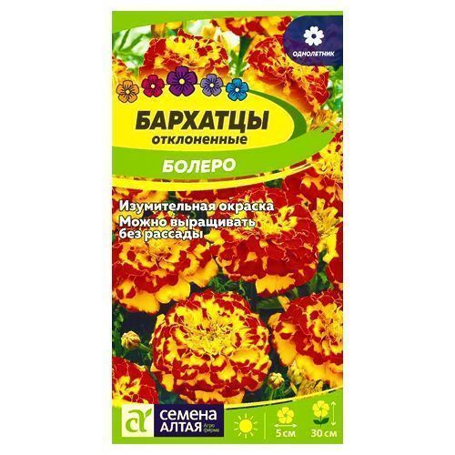 ������ ������ �������� ����������� �������� ������ ������ �����   ����