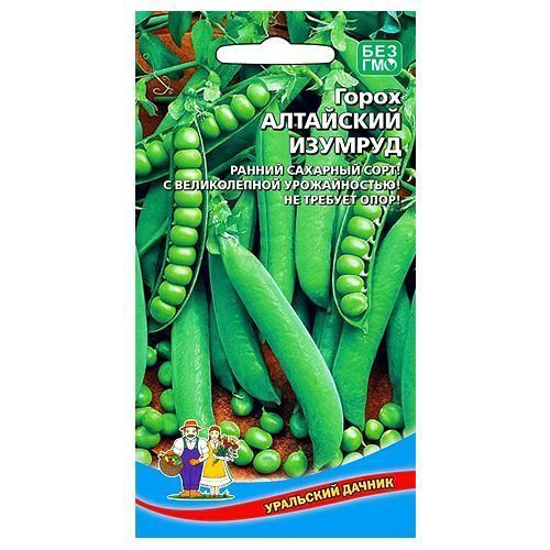 ������ ������ ����� ��������� ������� ��������� ������   ����