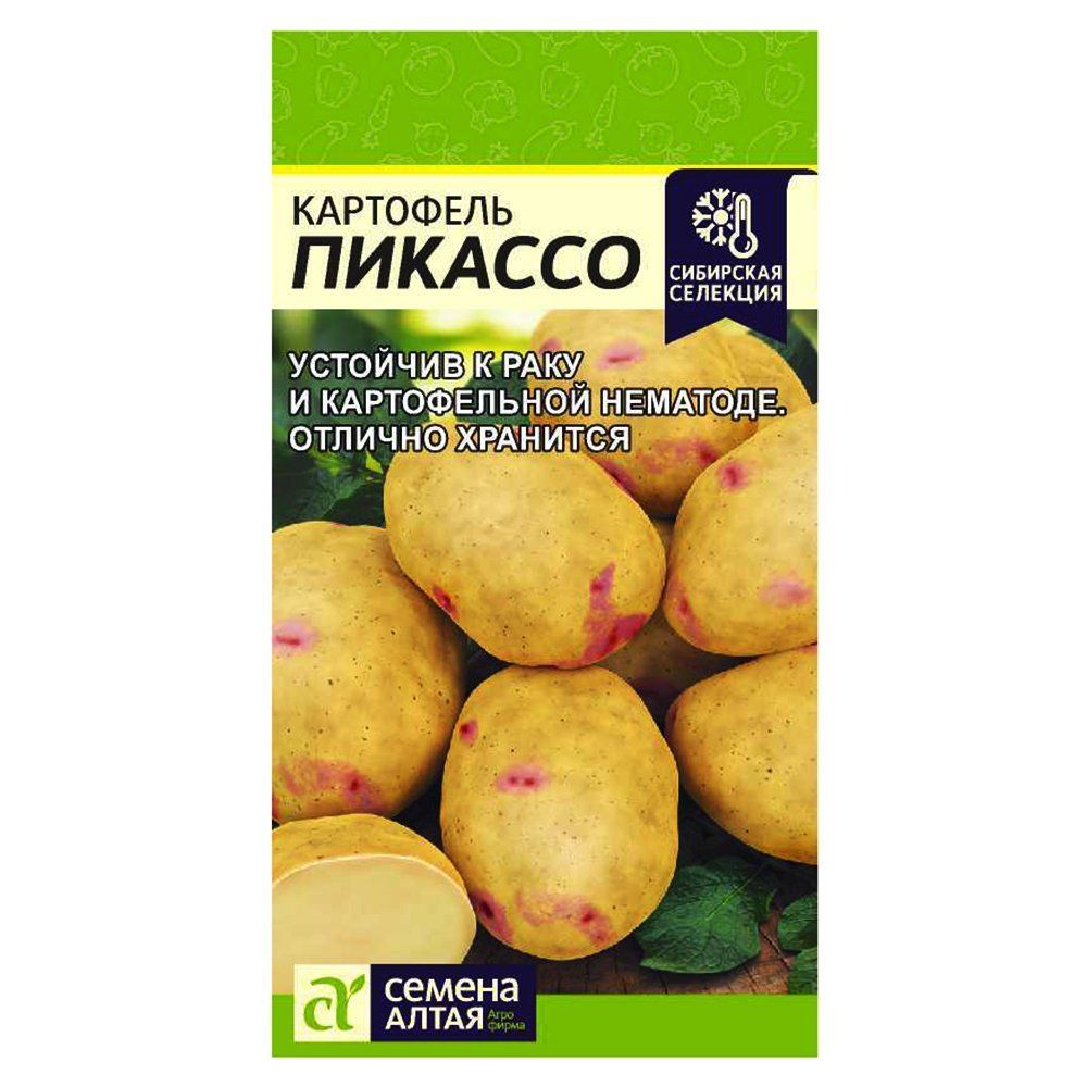 ������ ������ ��������� ������� ������ �����   ����