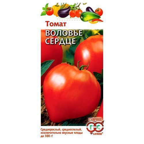 ������ ������ ����� ������� ������ ������   ����