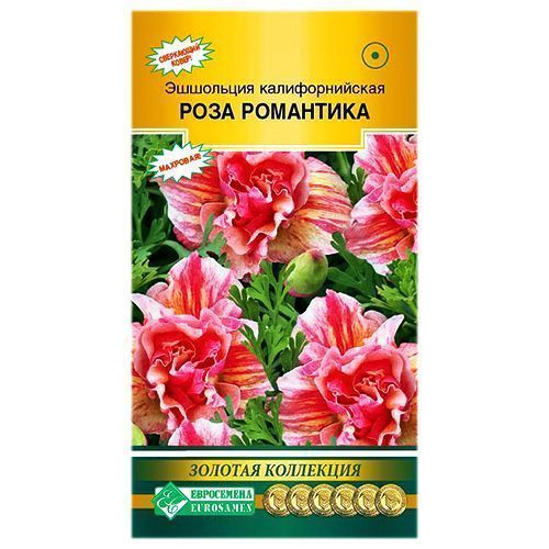 ������ ������ ��������� ���� ��������� ����������   ����