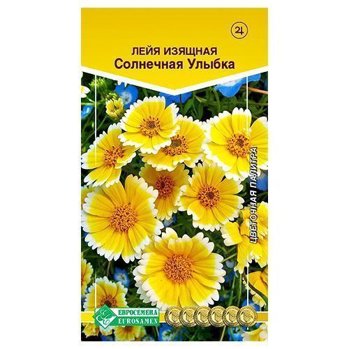 ������ ������ ���� ��������� ������ ����������   ����