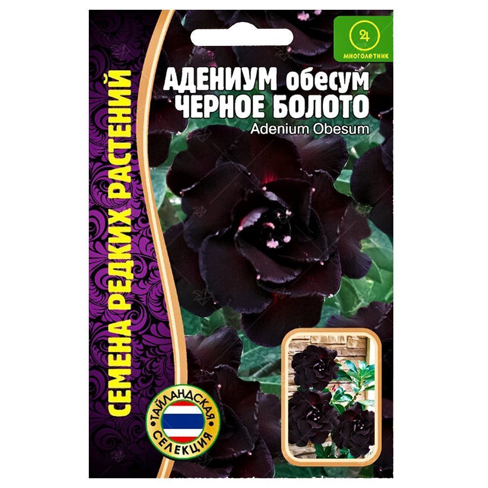 ������ ������ ������� ������ ������ ������ ������   ����