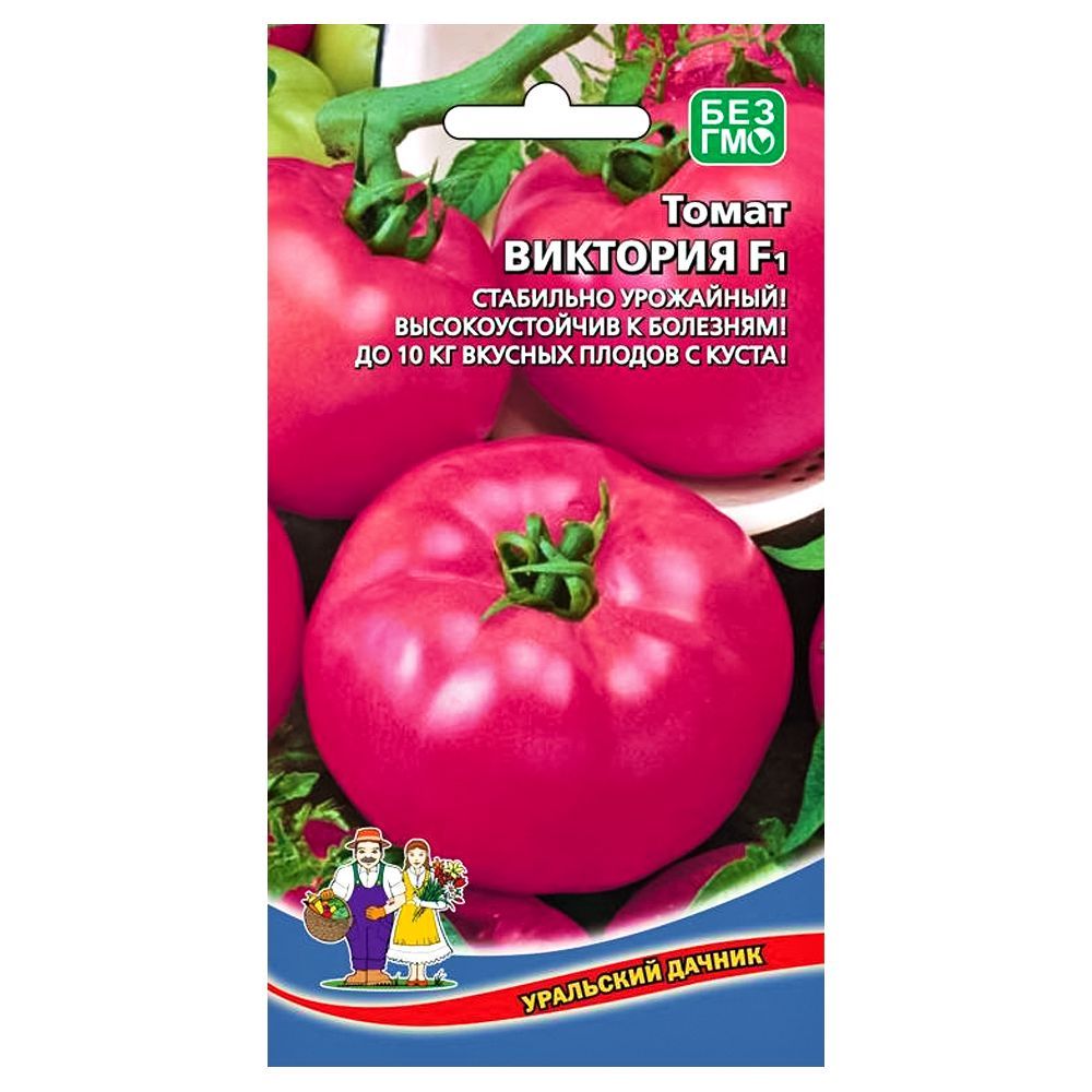 ������ ������ ����� �������� F1 ��������� ������   ����