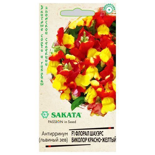 ������ ������ ���������� ������ ������ ������� ������-������ F1 ������   ����