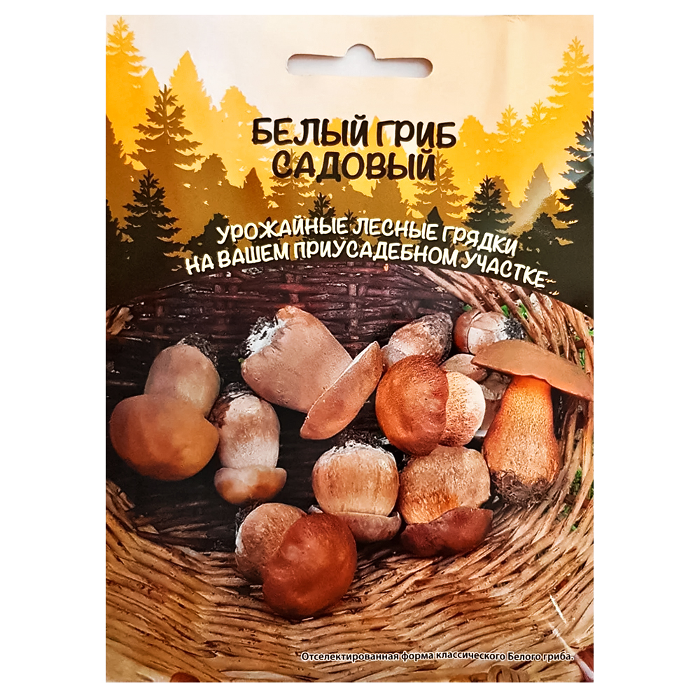 ������ ������ ����� ���� ������� ��������� ������   ����