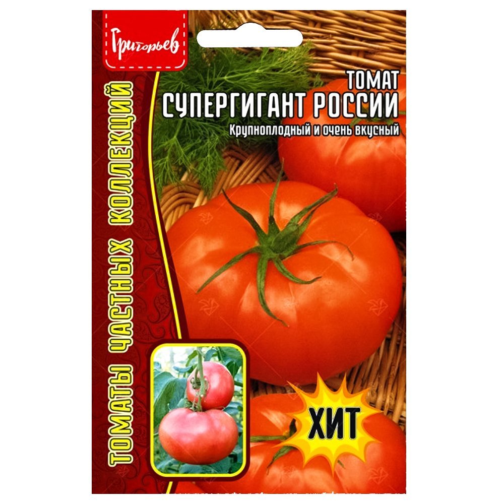 ������ ������ ����� ����������� ������ ������ ������   ����