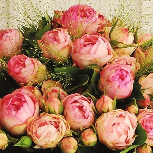 ������ ������ ���� �����-��������� ����� ������   ����