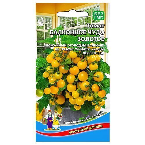 ������ ������ ����� ��������� ���� ������� ��������� ������   ����