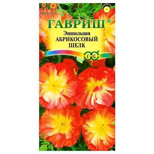 ������ ������ ��������� ����������� ���� ������   ����