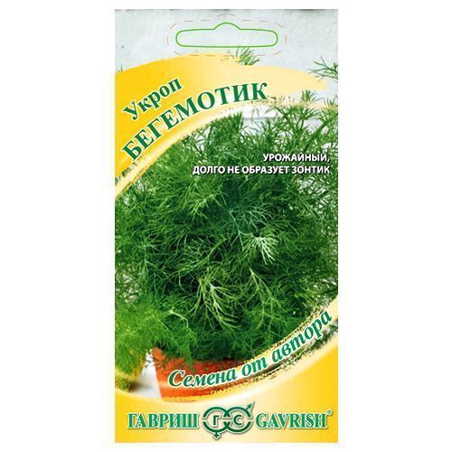 ������ ������ ����� ��������� ������   ����