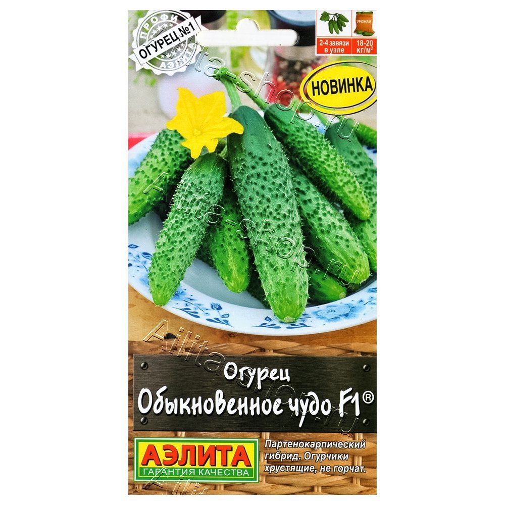 ������ ������ ������ ������������ ���� F1 ������   ����