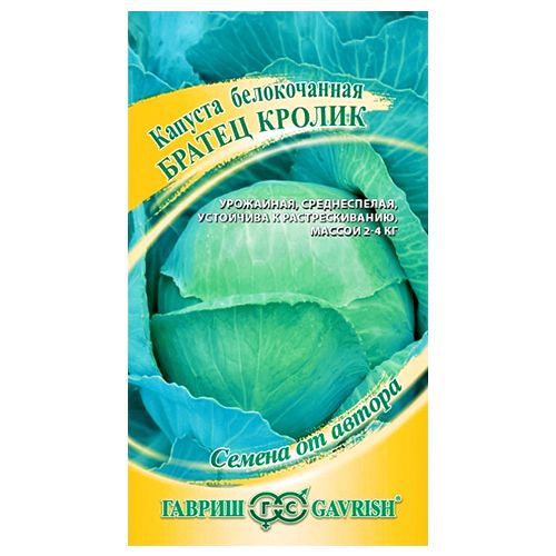 ������ ������ ������� ������������ ������ ������ ������   ����