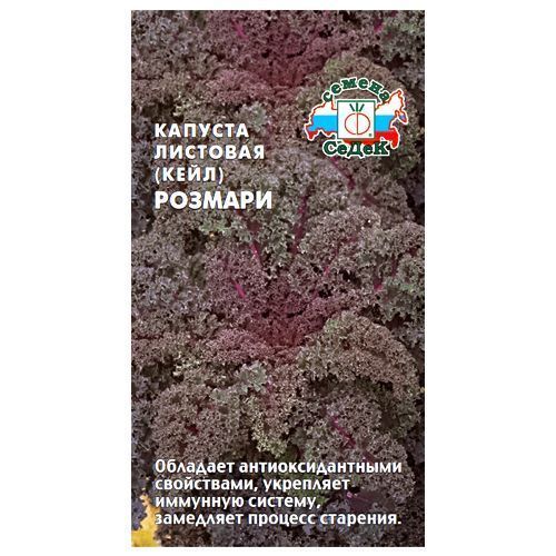 ������ ������ ������� �������� ������� �����   ����