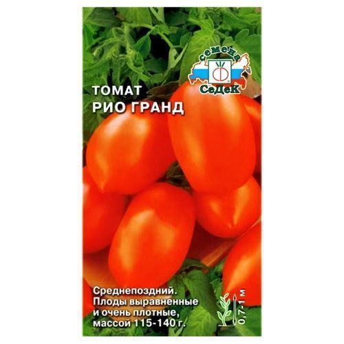 ������ ������ ����� ��� ������ �����   ����