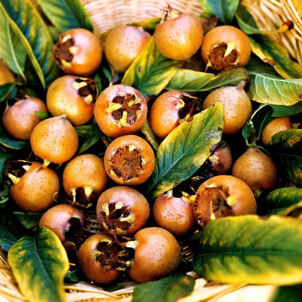 ������ ������ ������� ��� ������� ������ ����������   ����