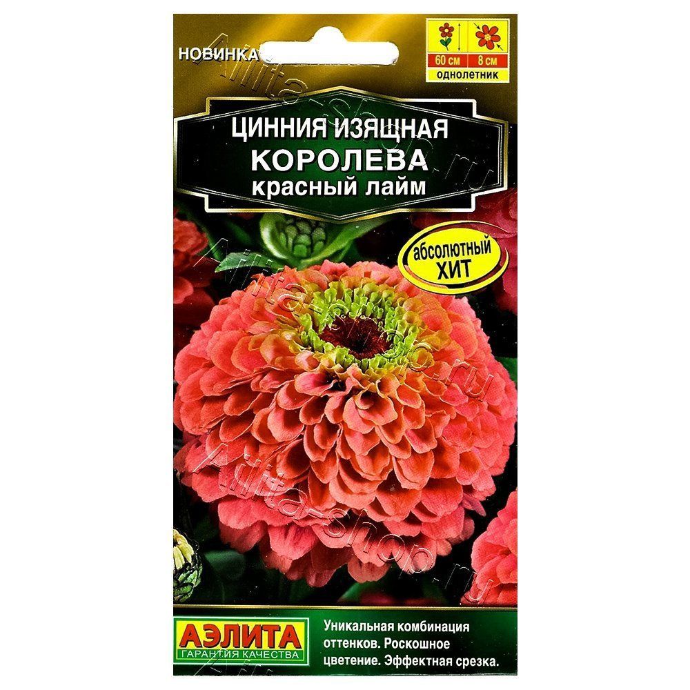 ������ ������ ������ �������� ������� ���� ������   ����