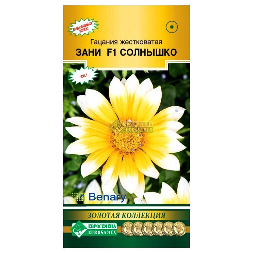 ������ ������ ������� ���� �������� F1 ����������   ����