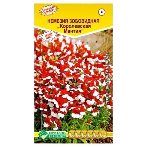 ������ ������ ������� ����������� ������ ����������   ����