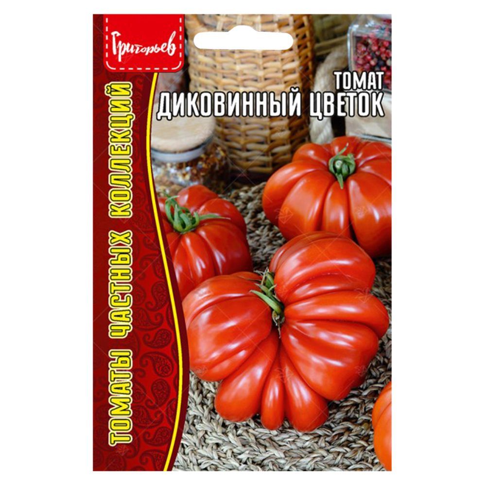 ������ ������ ����� ���������� ������ ������ ������   ����