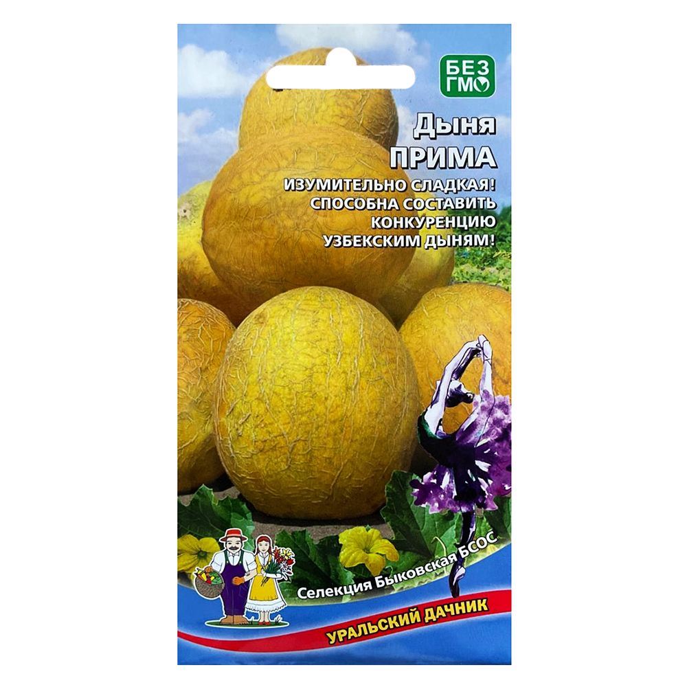 ������ ������ ���� ����� ��������� ������   ����