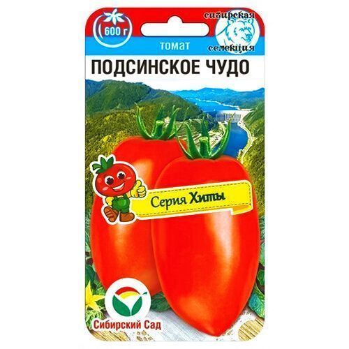 ������ ������ ����� ���������� ���� ��������� ���   ����