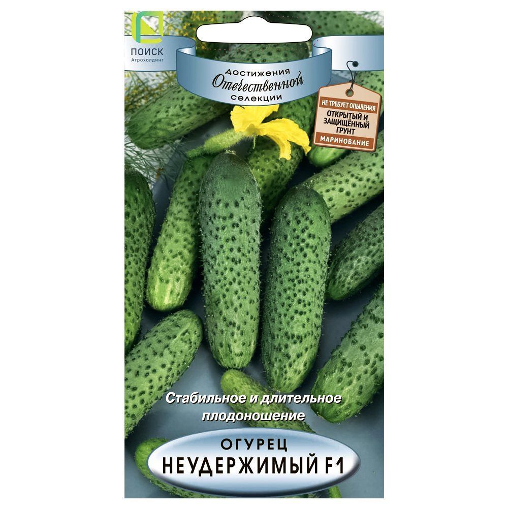 ������ ������ ������ ����������� F1 �����   ����