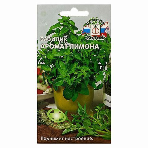 ������ ������ ������� ������� ������ ������ �����   ����