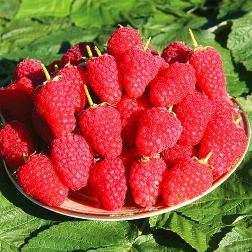 ������ ������ ������ ������������� ������   ����