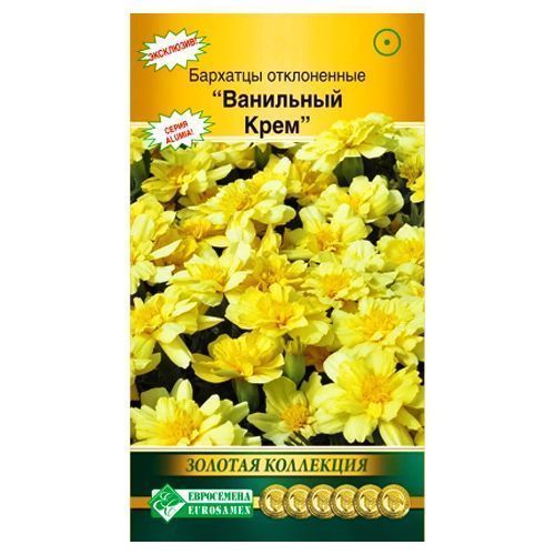 ������ ������ �������� ����������� ��������� ���� ����������   ����