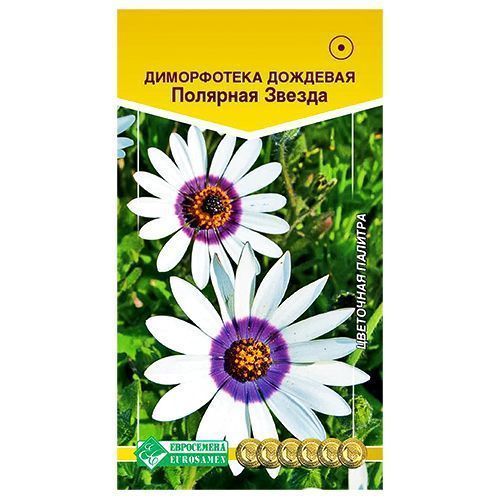 ������ ������ ����������� �������� ������ ����������   ����