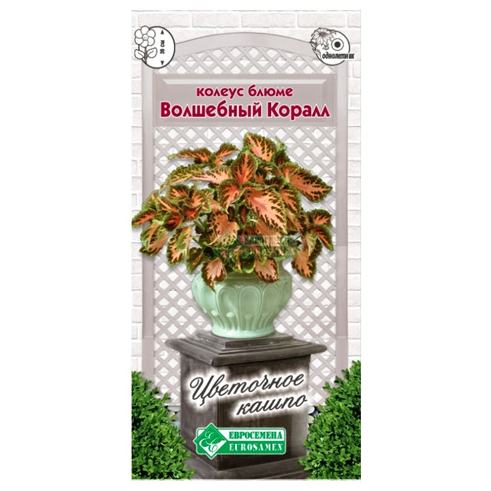 ������ ������ ������ ����� ��������� ������ ����������   ����