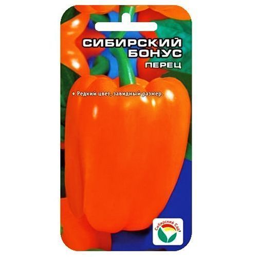 ������ ������ ����� ������� ��������� ����� ��������� ���   ����