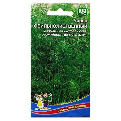 ������ ������ ����� ����������������� ��������� ������   ����