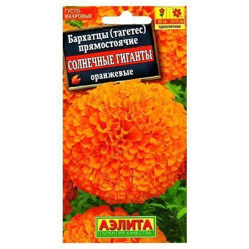 ������ ������ �������� ������������ ��������� ������� ��������� ������   ����