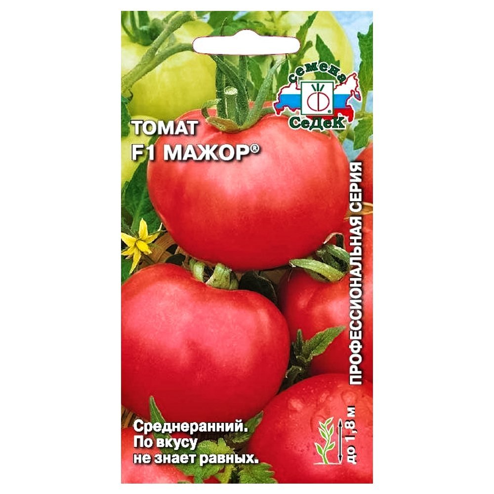 ������ ������ ����� ����� F1 �����   ����