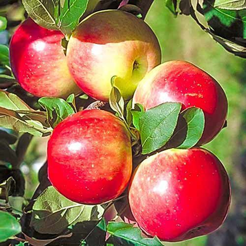 ������ ������ ������ ����� ���������   ����