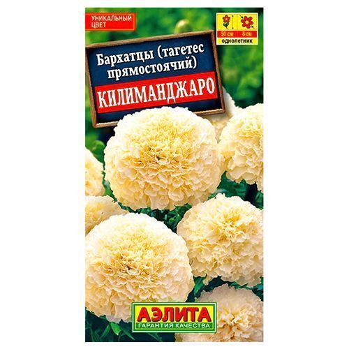 ������ ������ �������� ������������ ������������ ������   ����