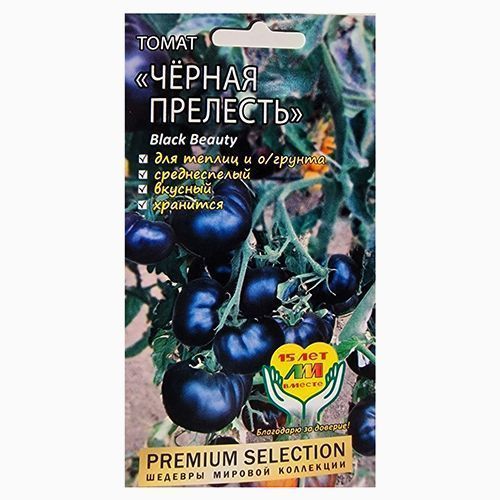 ������ ������ ����� ������ �������� ����������� ������ �.�.   ����