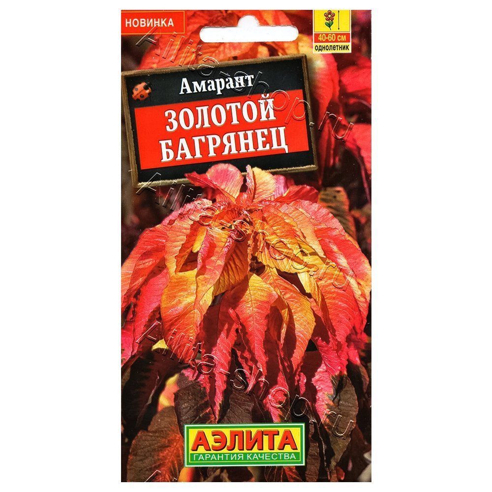 ������ ������ ������� ������� �������� ������   ����