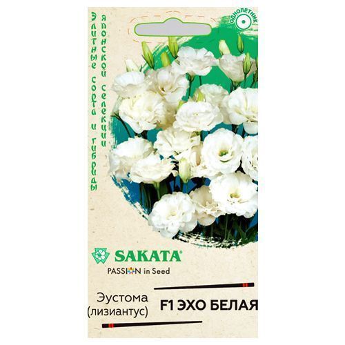 ������ ������ ������� ��� ����� F1 ������   ����