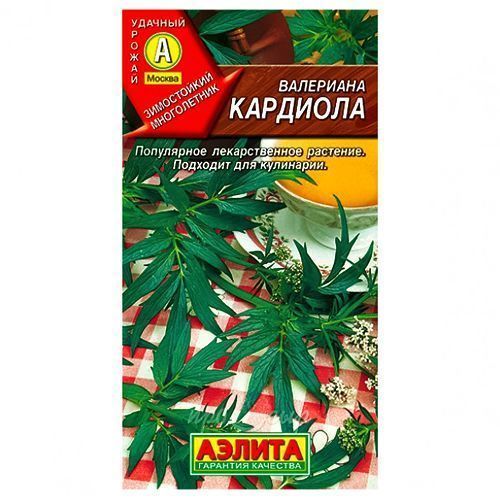 ������ ������ ��������� �������� ������   ����