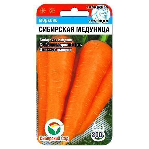 ������ ������ ������� ��������� �������� ��������� ���   ����